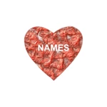 Logo of Love Test Names android Application 